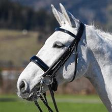 Vespucci Double Bridle + Reins Pat. Leather Black