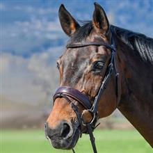 Vespucci Trad. Dress. Bridle Rubber Reins Brown