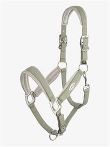 Versailles Headcollar Fern