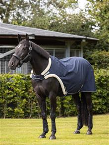 Walker Rug Navy