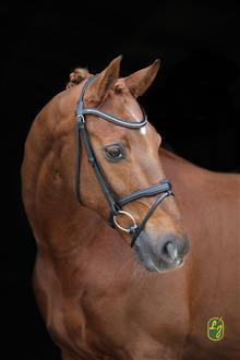 Flash Bridle Diamond Web Reins Noisette