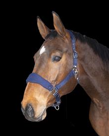 Headcollar Nylon-Fleece Navy