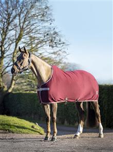 Arika Jersey-Tek Rug Burgundy