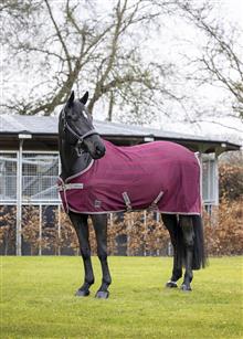 Arika Air-Tek Rug Burgundy