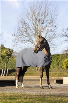 Arika Clima-Tek Rug Grey