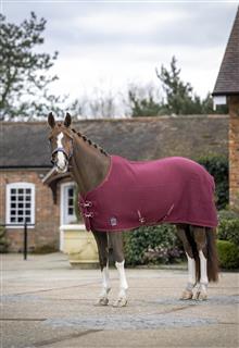 Arika Clima-Tek Rug Burgundy