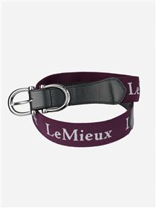 Elasticated Belt Fig