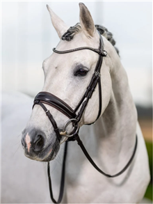 Kudos Classic Dressage Bridle Brown