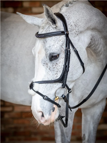Kudos Grackle Bridle Black