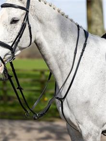 Kudos Running Martingale Black