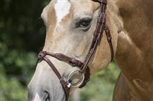 Flash Noseband Filuma Round Australian Nut