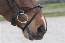 Flash Noseband Filuma Round Black