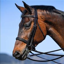 Vespucci Double Bridle with Reins Brown