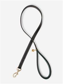 Windsor Dog Lead Brown/Hunter
