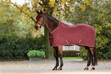 Arika Monogram Fleece Rug Burgundy
