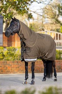 Arika 600D Ripstop 50g Turnout Rug Alpine