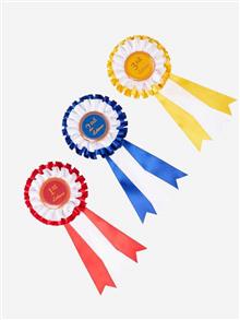 Hobby Horse Rosette Pack Multi