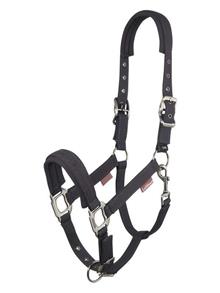 Soft Shell Headcollar Cinder