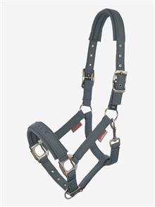 Soft Shell Headcollar Petrol