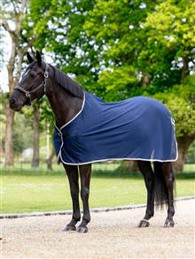 Scrim Rug Navy