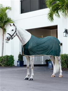 Scrim Rug Green