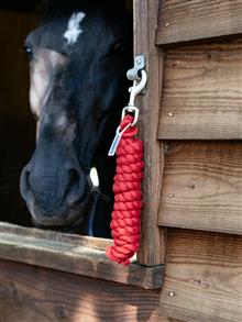 Polycotton Leadrope Chilli