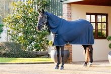 25AW Arika DryEase Rug Navy