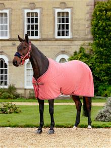 25AW Arika Monogram Fleece Rug Cranberry