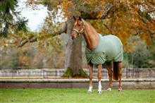 25AW Arika Monogram Fleece Rug Rosemary