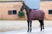 25AW Kudos Luxe Lined Stable Rug Damson