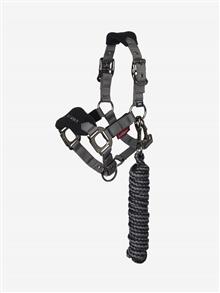 Mini Vogue Headcollar & Leadrope Black