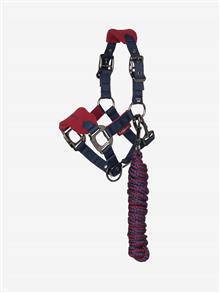 Mini Vogue Headcollar & Leadrope Burgundy