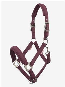 25AW Essence Headcollar Damson