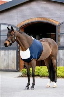 Sensitive Anti Rub Bib Navy
