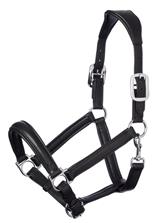 Anatomic Leather Headcollar Black