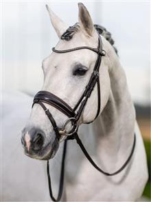 Kudos Classic Dressage Bridle Brown
