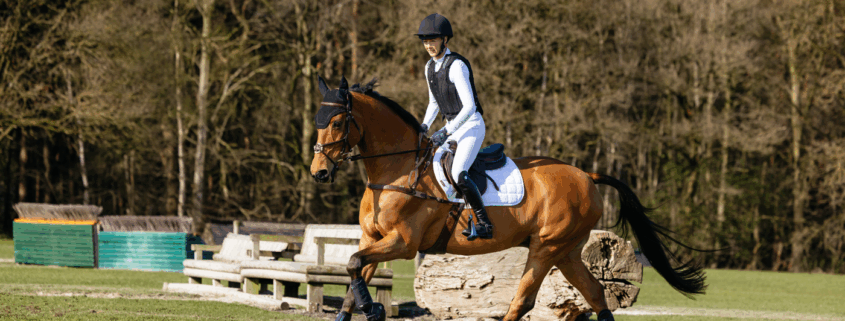 JRS is distributeur en expert in hippische merken