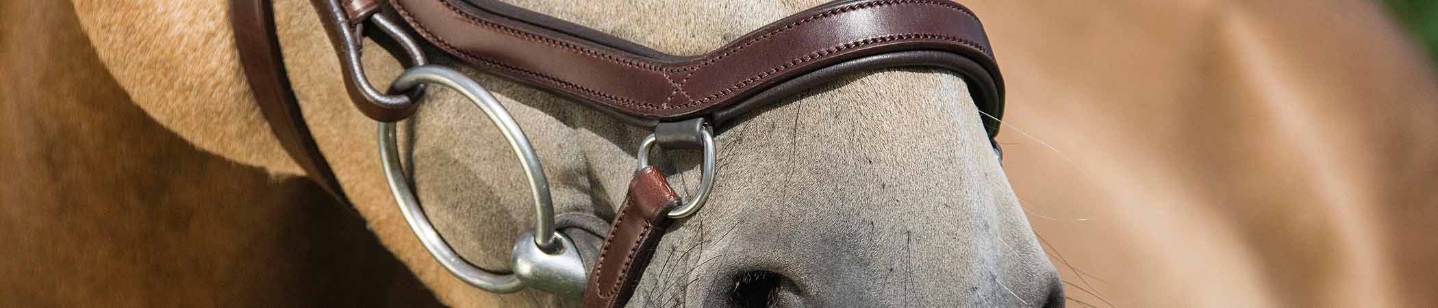 JRS is distributeur en expert in hippische merken