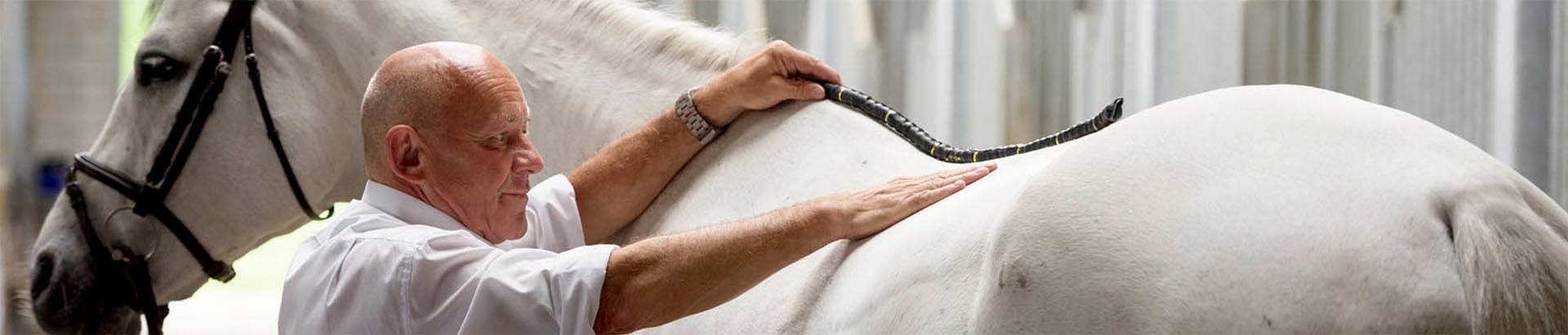 JRS is distributeur en expert in hippische merken