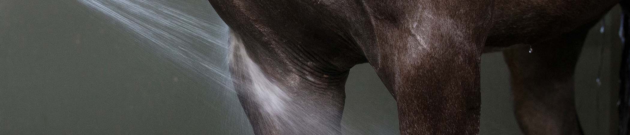 JRS is distributeur en expert in hippische merken